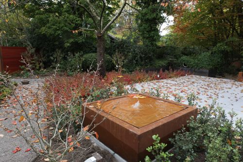 [RHAGLOW] Rhus aromatica 'Gro-Low' Noble®