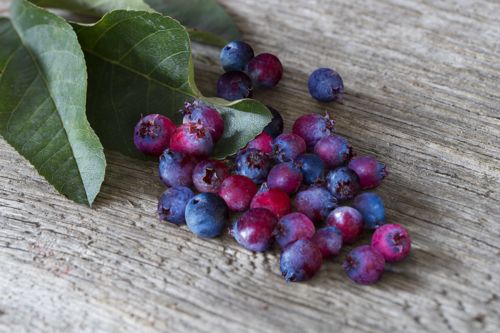 AMSBERRY