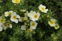POFLIMEL_20140617100322_xlarge.jpeg
