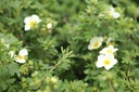 POFLIMEL_20130626143057_xlarge.jpeg