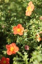 POFMRROB_20120915150048_xlarge.jpeg