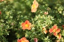 POFMRROB_20120915150040_xlarge.jpeg