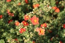 POFMRROB_20090918110525_xlarge.jpeg