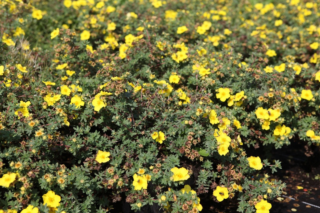 POFMWMOU_20120915150452_xlarge.jpeg