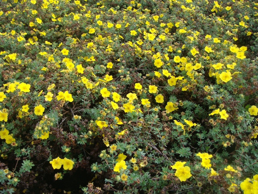 POFMWMOU_20090911113425_xlarge.jpeg