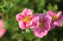 POFPPARA_20120727102140_xlarge.jpeg