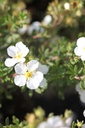 POFWLADY_20120915154112_xlarge.jpeg