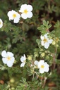 POFWLADY_20120915154019_xlarge.jpeg