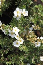 POFWLADY_20120915153925_xlarge.jpeg