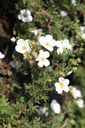POFWLADY_20120915153916_xlarge.jpeg