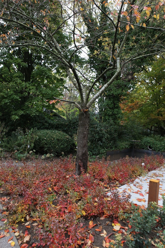 RHAGLOW_20151027144542_xlarge.jpeg
