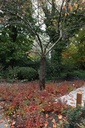 RHAGLOW_20151027144542_xlarge.jpeg