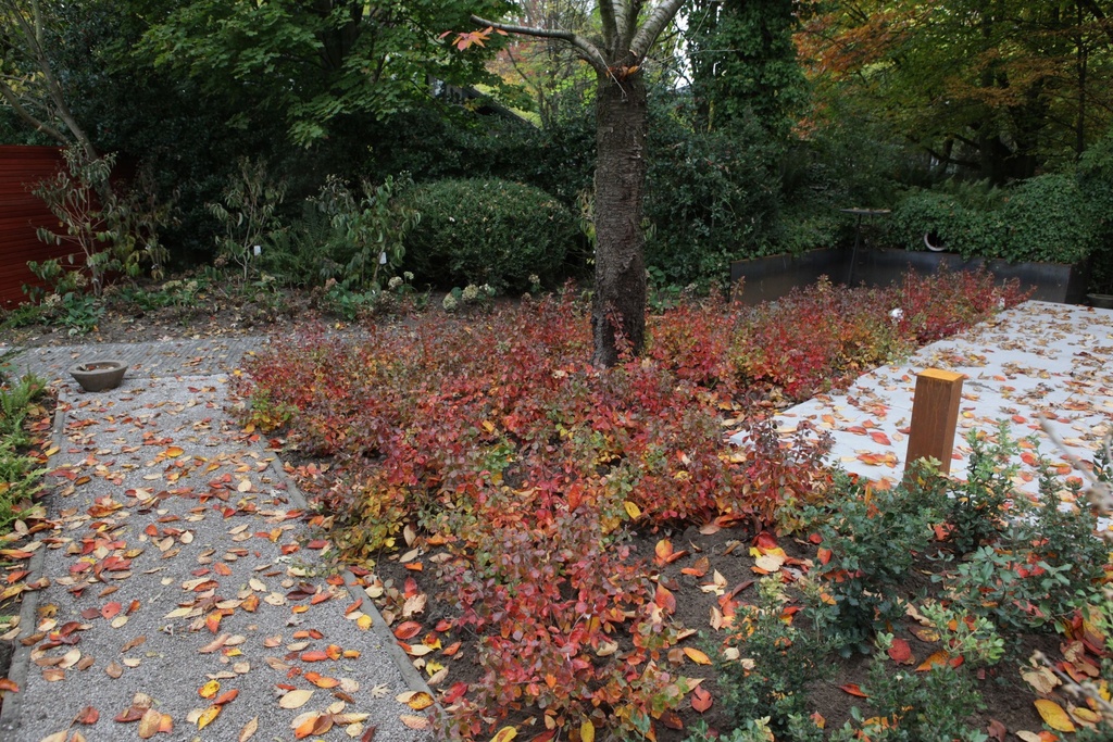 RHAGLOW_20151027144532_xlarge.jpeg