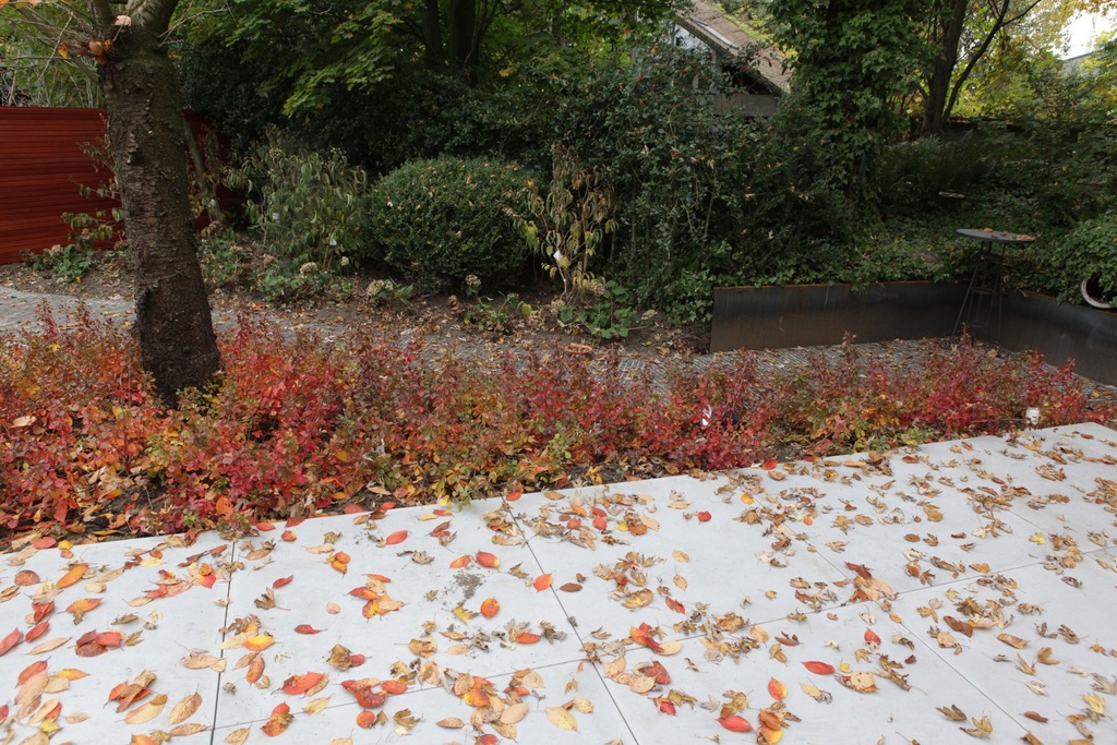 RHAGLOW_20151027144444_xlarge.jpeg