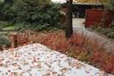 RHAGLOW_20151027144425_xlarge.jpeg