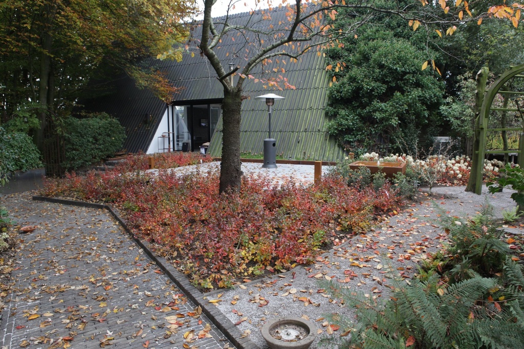 RHAGLOW_20151027144301_xlarge.jpeg