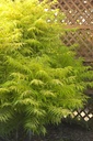 RHTTEYES_20120726172942_xlarge.jpeg