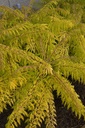 RHTTEYES_20120726172916_xlarge.jpeg
