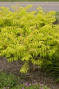 RHTTEYES_20100601093914_xlarge.jpeg