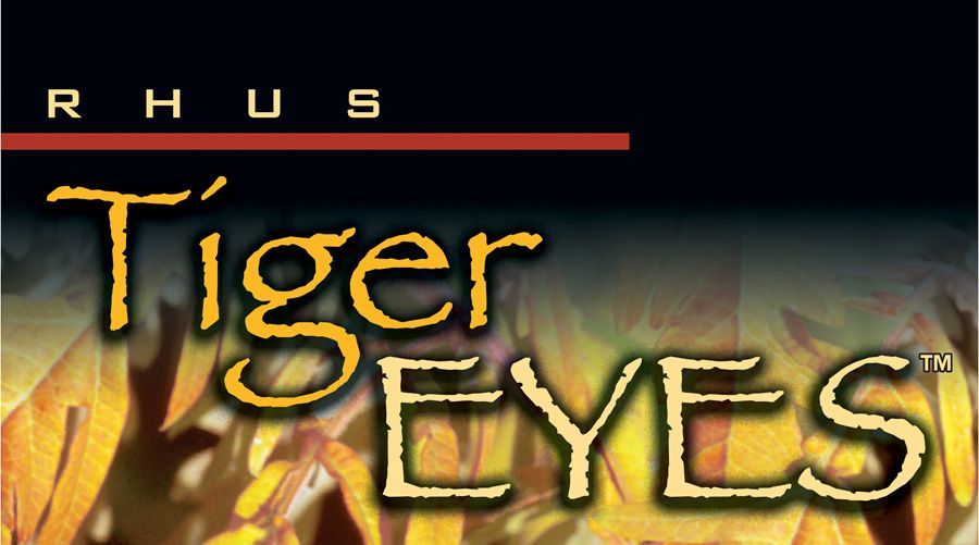 RHTTEYES_20040328220329_xlarge.jpeg