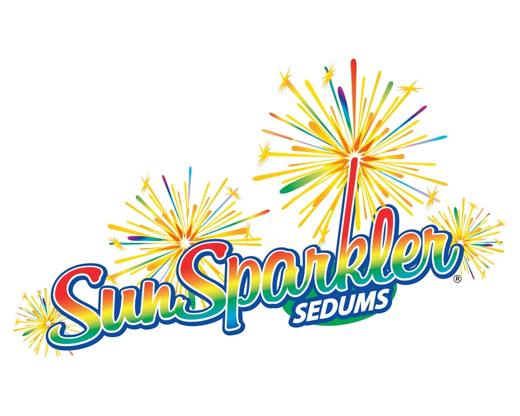 SESBPEAR_20120129143459_xlarge.jpeg