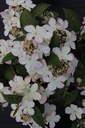 VIPKSUNR_20150515153119_xlarge.jpeg