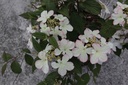 VIPKSUNR_20150515153020_xlarge.jpeg