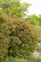 VITBCOMP_20110523090329_xlarge.jpeg