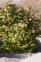 VITWENTW_20101012101424_xlarge.jpeg