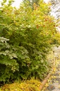 VITWENTW_20091021092008_xlarge.jpeg