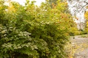 VITWENTW_20091021091957_xlarge.jpeg