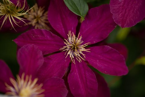 CLNIOBE_20200716150633_small.jpeg