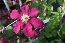 CLNIOBE_20160726084702_small.jpeg