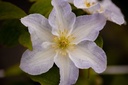CLYUKIKO_20200716151452_small.jpeg