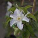 CLYUKIKO_20190703151942_thumbnail.jpeg
