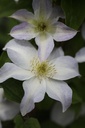 CLYUKIKO_20120822155431_small.jpeg