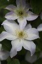 CLYUKIKO_20120822155431_medium.jpeg