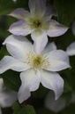 CLYUKIKO_20120822155431_xlarge.jpeg