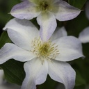 CLYUKIKO_20120822155431_thumbnail.jpeg