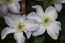 CLYUKIKO_20120822155422_medium.jpeg