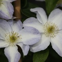 CLYUKIKO_20120822155422_thumbnail.jpeg