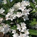DEPKALMI_20180507150215_thumbnail.jpeg