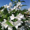 DEPKALMI_20180507150205_thumbnail.jpeg