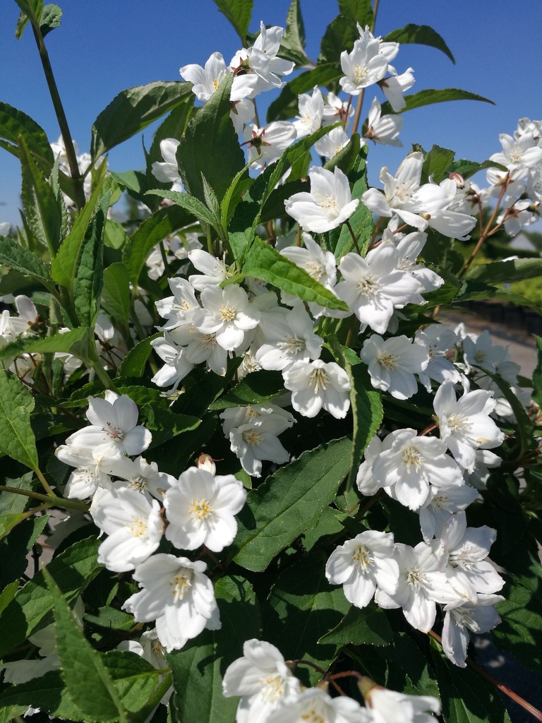 DEPKALMI_20180507150200_xlarge.jpeg