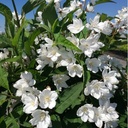DEPKALMI_20180507150200_thumbnail.jpeg