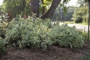 DISCSPLA_20130819083702_small.jpeg