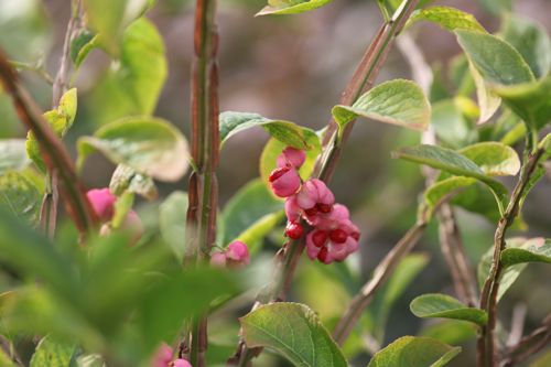 EUPHELLO_20120911172851_small.jpeg