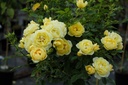ROLUCKY_20220727160956.jpg