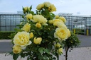 ROLUCKY_20220727160928.jpg