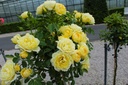 ROLUCKY_20220727160911.jpg